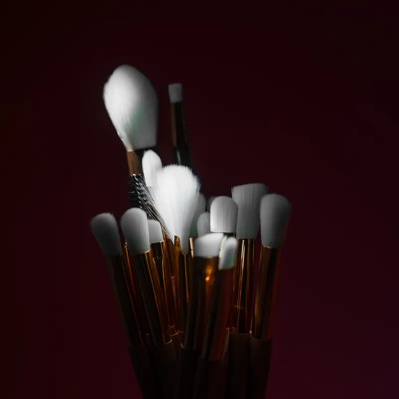 Makeup Brush Set